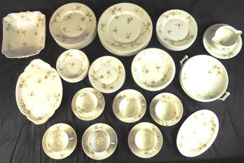 Beautiful Theodore Haviland Limoges Schleiger 29A 8-Piece Service For 6 & Extras