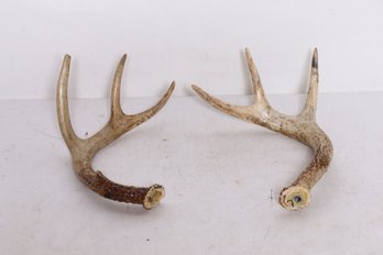 Vintage Deer Antlers