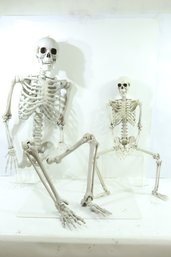 Plastic Full Size Adult & Child Human Skeletons