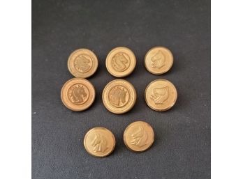 Lot Of 8 Brass Horse Head Equestrian Buttons