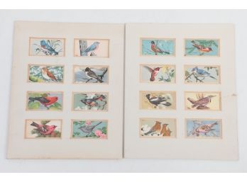 16 Red Rose Tea & Coffee Birds Cards Matted On Two Mats