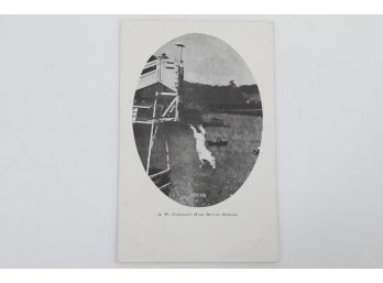 Vintage Lake Compounce Diving Horse Post Card