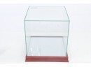 Steiner Signed Basketball Glass Display Case With Mirror Bottom.