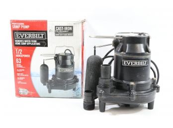 Everbilt HDS50 1/2 HP Cast Iron Sump Pump 1000041120
