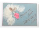 2 Waterbury Conn. 'Feather' Postcards