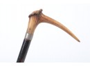 Late 1800 Early  1900 Antler Cane Inscribed 'A. Schols'