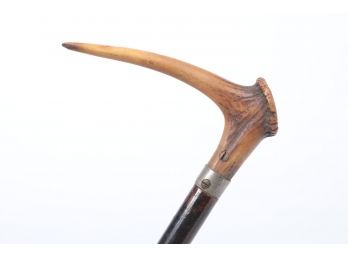 Late 1800 Early  1900 Antler Cane Inscribed 'A. Schols'