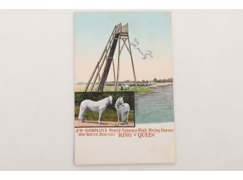 Vintage Gorman's Diving Horse Post Card