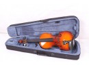 Cecilio 4/4 CVNAE-330SR Ebony Fitted Acoustic/Electric Violin