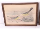Pair Of Hand Colored Lithographs Of Birds By Artist Rex Brasher