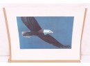 4 Vintage 1976 Whirlpool The Endangered Species Bald Eagle Prints