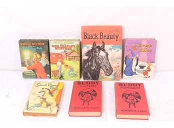 Group Of Vintage Childrens Books Includes Black Beauty, Sword In The Stone, Buddy Etc