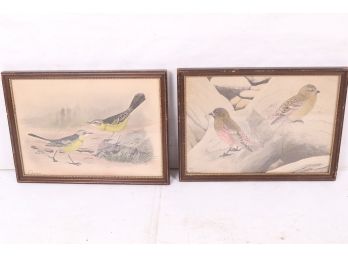 Pair Of Hand Colored Lithographs Of Birds By Artist Rex Brasher