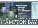 2 Outdoor 24 Ft. Smart Plug-in Bulb Color Changing LED String Light (12-Bulb)