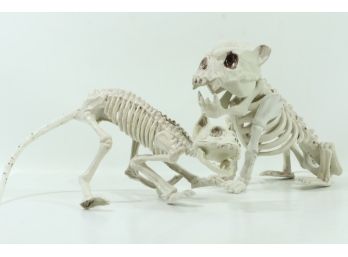 Pair Of Plastic Animal Skelton's Cat And Dog