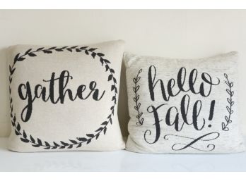 Pair Of Large Decorative Pillows