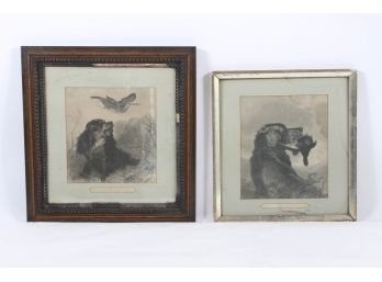 Group Of Two Pre-1900 HT Ryall Stipple Hunting Dog Engravings