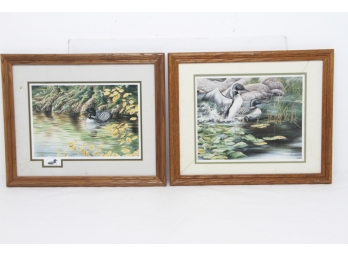 2 Framed Signed And Numbered Duck Prints 150/1950 & 537/??