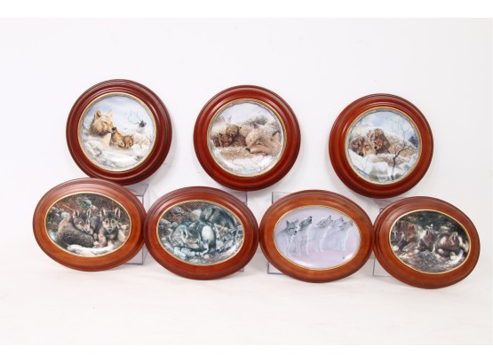A Group Of 7 Bradford Exchange Limited Edition Wolf Design Decorative Plates 'sheltering Love' 'den Pals'