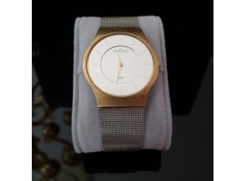 Nice Mens Skagen Watch Stainless Steel Mesh Band - New Battery Looks And Runs Great!