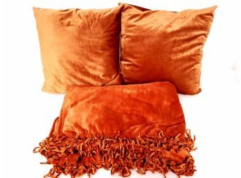 2 Large Soft Throw Pillows And Soft Throw Blanket