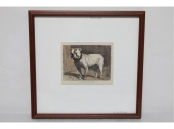 Vintage Framed & Matted Bull-Dog Lithograph Postcard