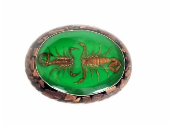 Alpaca Scorpion Belt Buckle