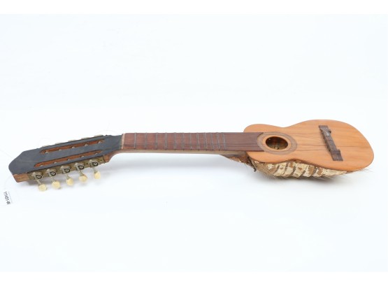 Taxidermy Armadillo Guitar Instrument