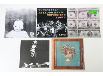 5pc Ty Segall Record Lot