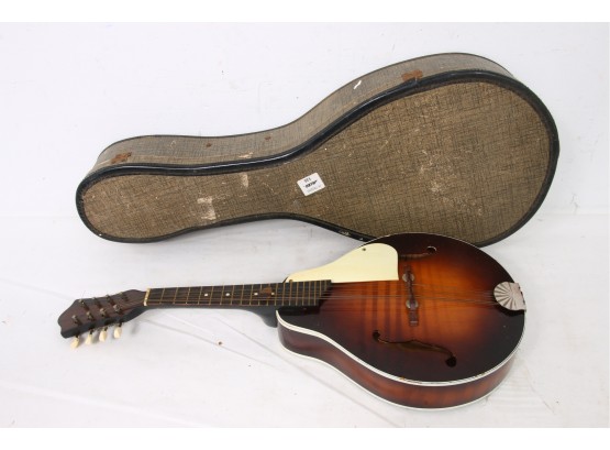 Vintage 8-string Mandolin