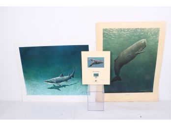 2 Vintage 1974 Richard Ellis Hand Signed And Numbered In Pencil Shark And Whale Prints