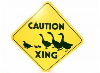 31' Duck Crossing Sign, Tori 1984