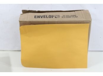 Quality Park 44062 Redi-Seal Catalog Envelope, 12 X 15 1/2, Brown Kraft, 250/Box