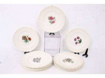 Group Of 12 SPODE England Plates Canadian Provincial Flowers New Brunswick - Appears Never Used