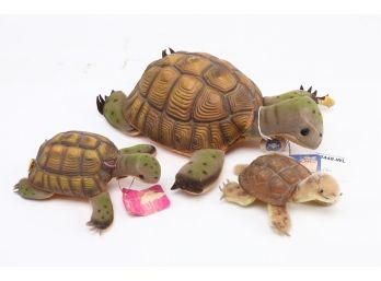 3 Stieff Slo Turtles