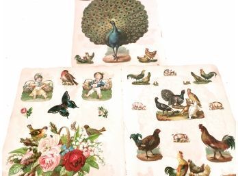 Victorian Die Cuts 12' Peacock , Birds,  Fruit