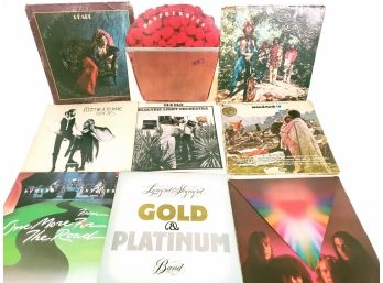 Mixed Lot Of Vinyl Rock Records Lenard Skyward, Fleetwood Mac, CCR And More