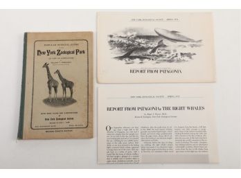 1908 NY Zoological Park Guide With 1972 Report