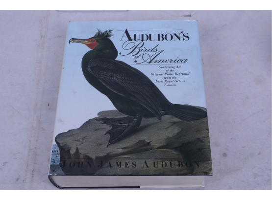 Audubon's Birds Of America  Book With 500 Illustration's From Original Plates