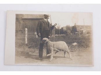 Early 1900's 'Freak' RPPC - Lamb With 7 Legs
