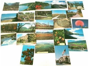 Lot Of Hawaiian Postcards