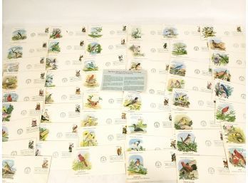 Collection Of 50 State Birds And Flower First Day Covers