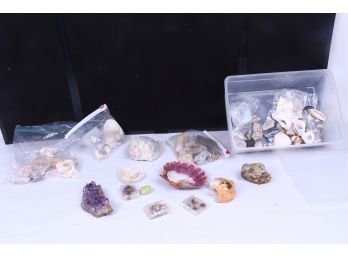 Group Of Sea Shells Rocks Including Large Amethyst