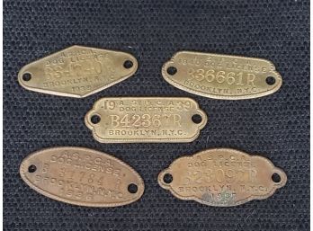 Collection Of 5 Vintage ASPCA Dog Tags 1930s-40