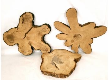 3 Large Unique Wood Slabs