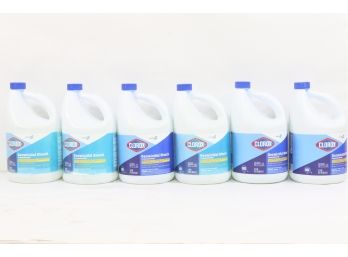 6 Gallons Of Clorox Concentrated Germicidal Bleach Kills All Viruses
