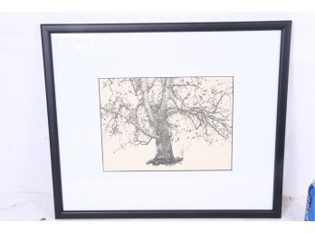 Un-Signed Professionally Framed Print Of A Tree