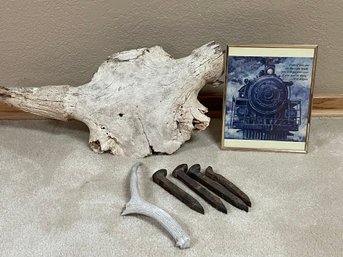 Partial Bison Skull & Spikes