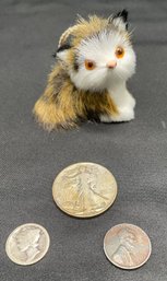 Collectible Coins And Soft Kitty