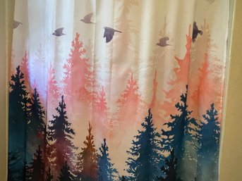 Shower Curtain, Scale And Bathroom Accessories